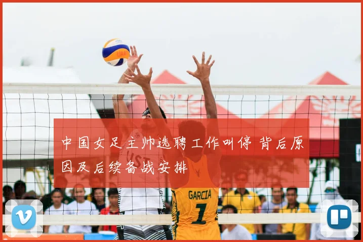 中国女足主帅选聘工作叫停 背后原因及后续备战安排