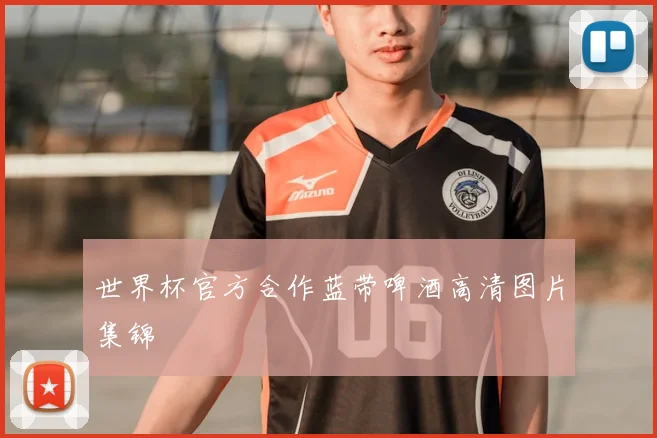 世界杯官方合作蓝带啤酒高清图片集锦