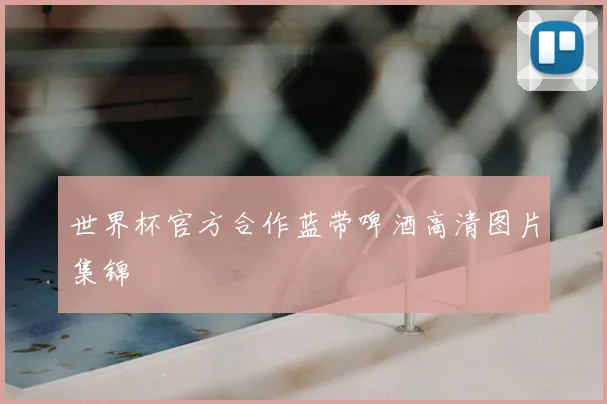 世界杯官方合作蓝带啤酒高清图片集锦