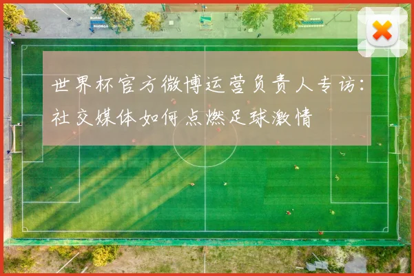 世界杯官方微博运营负责人专访：社交媒体如何点燃足球激情