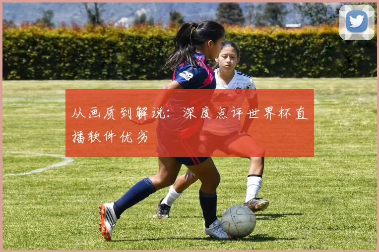 从画质到解说:深度点评世界杯直播软件优劣