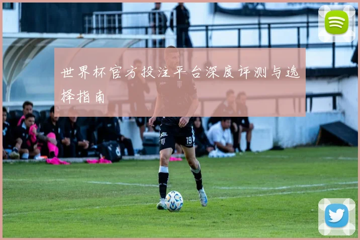 世界杯官方投注平台深度评测与选择指南