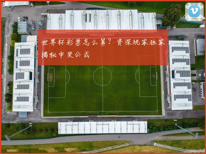 世界杯彩票怎么算?资深玩家独家揭秘中奖公式